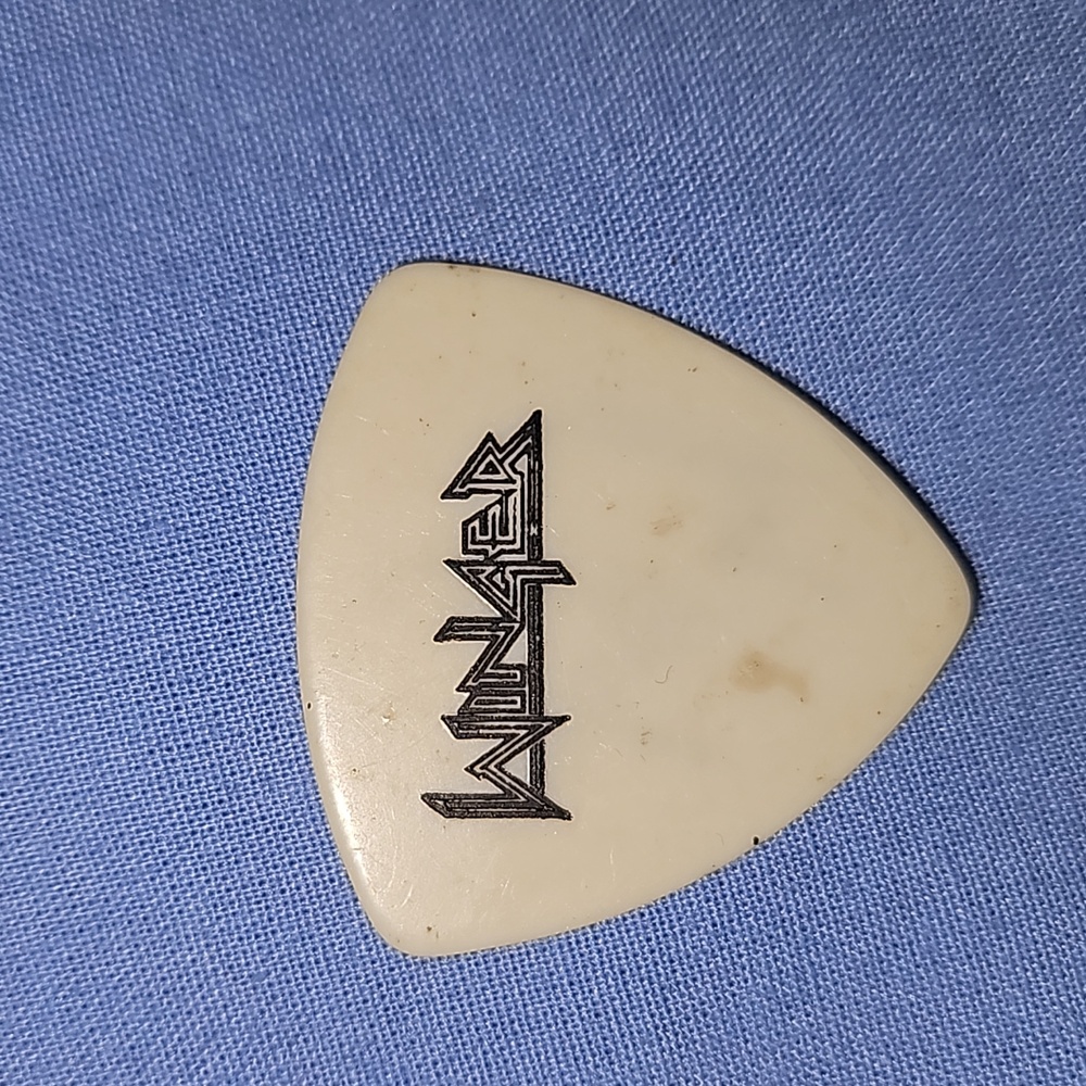 Kip Winger guitar pick